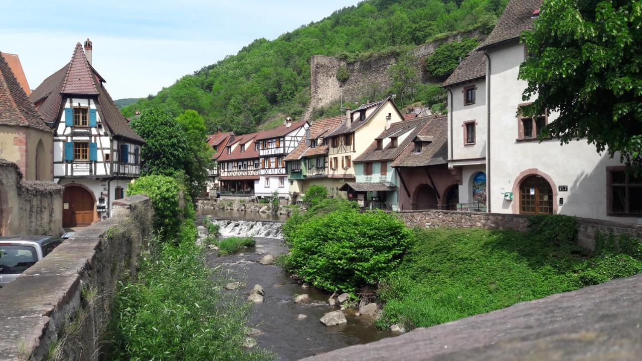 4 Gites Individuels A Kaysersberg Buitenkant foto